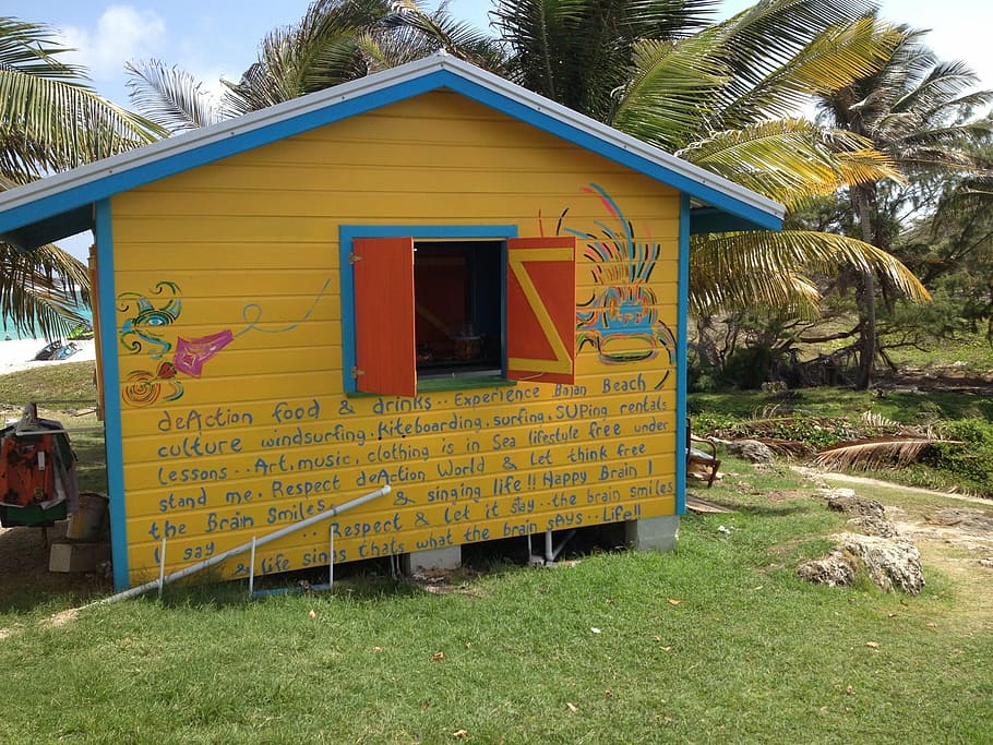barbados, rum, shack, plant, architecture, tree, built structure HD wallpaper