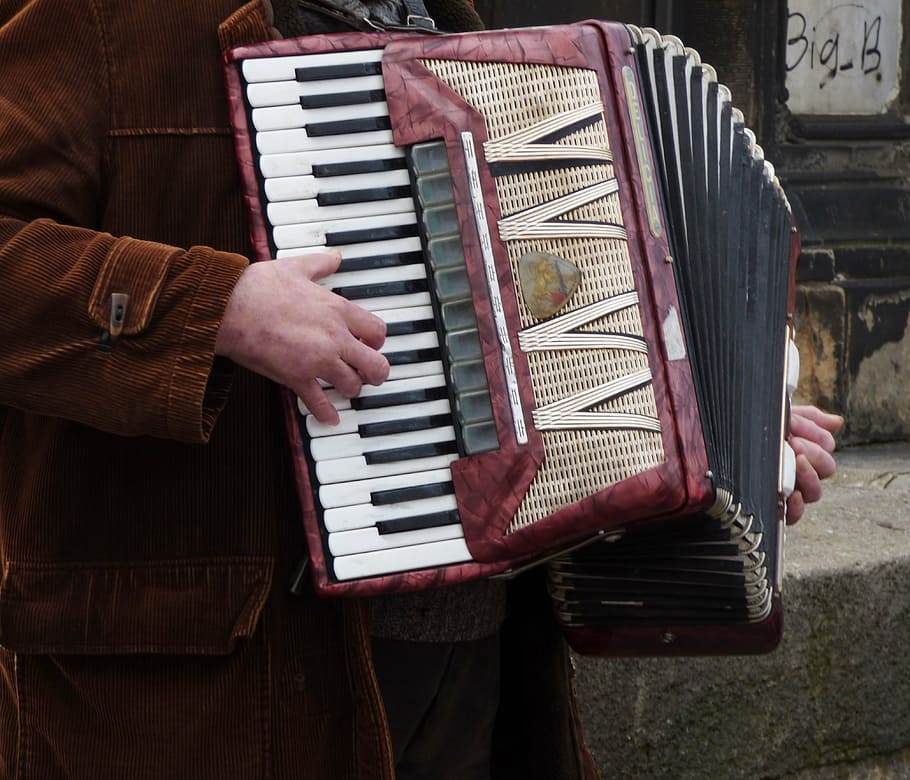 accordion, the harmony, playing, musician, street, instrument