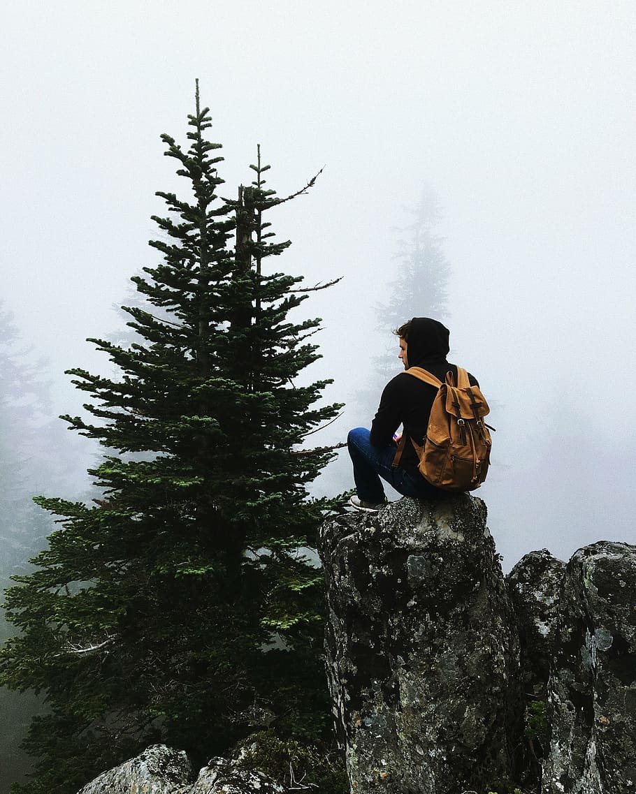 man sitting on rock cliff near tall trees during daytime, people HD wallpaper