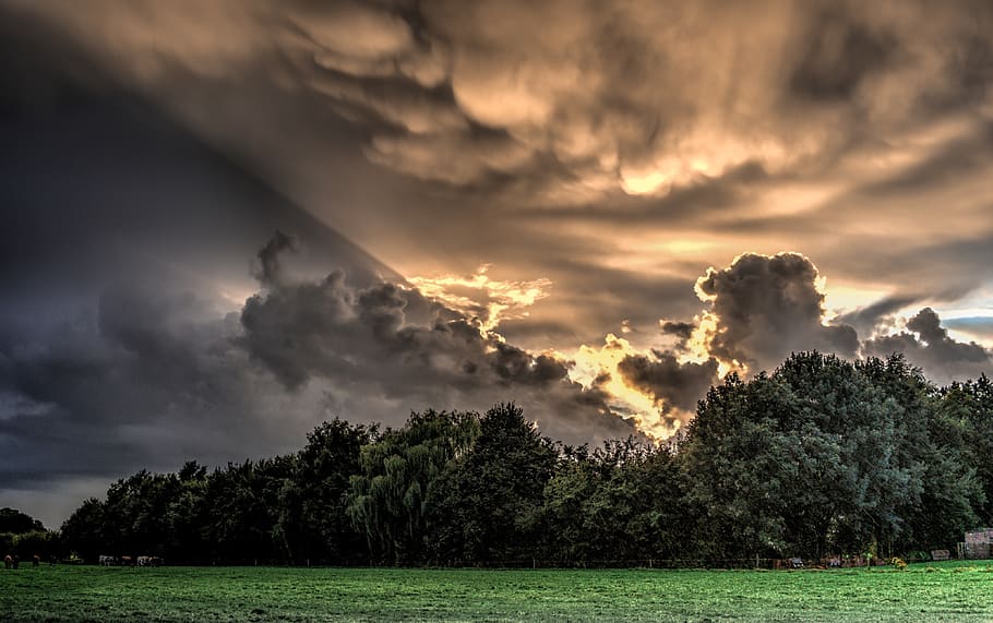 sunshine, sunrays, sky, clouds, trees, green, grass, hdr, cloud - sky HD wallpaper