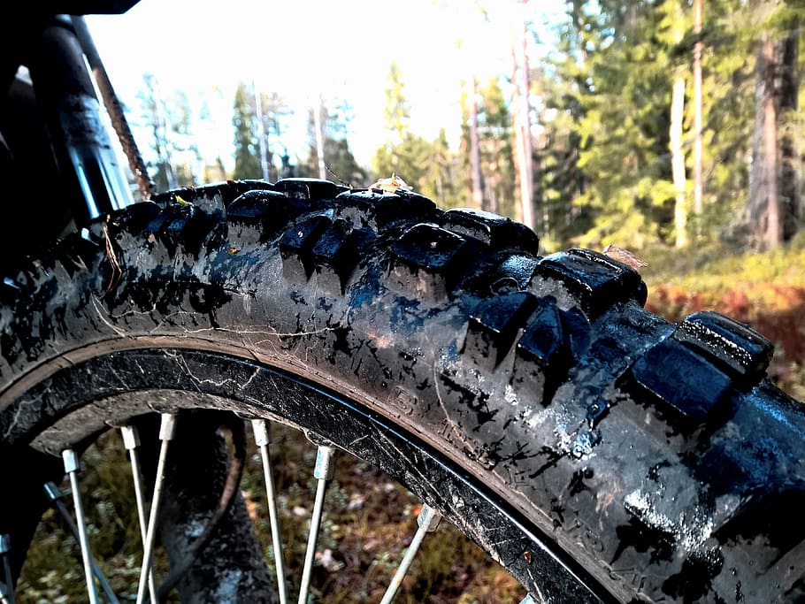 summer, forest, finnish, ring, close-up, mode of transportation HD wallpaper