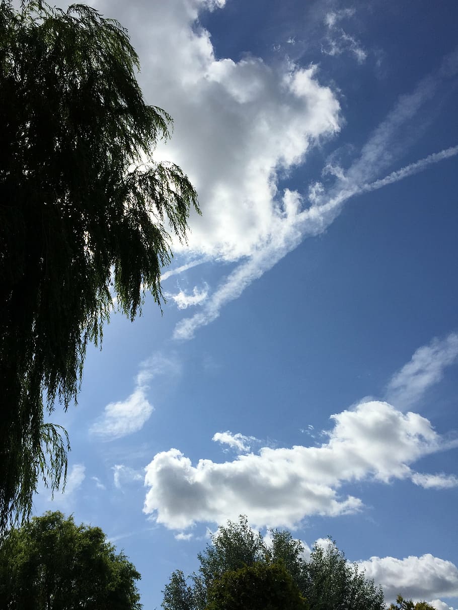 air, clouds, plane, blue sky, skies, nature, cloud - Sky, outdoors HD wallpaper