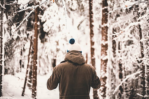 person walking on forest during winter weather, trees, plants HD wallpaper