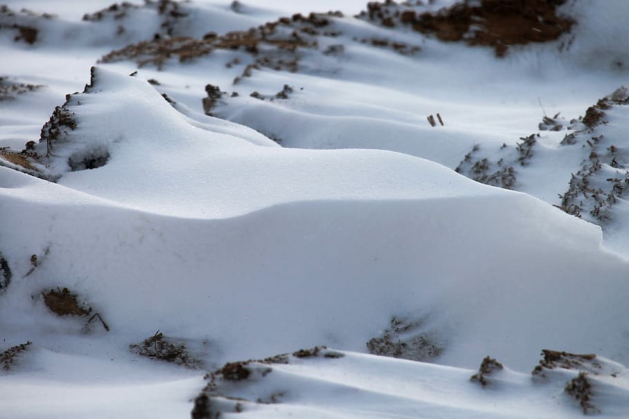 snow, winter, cold, landscape, nature, frost, cold temperature HD wallpaper