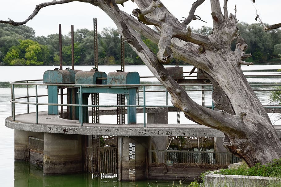 pond, rafting, spring, tree, water, built structure, architecture HD wallpaper