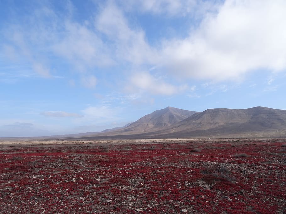 Lanzarote, Landscape, Mountain, scenics, nature, cloud - sky HD wallpaper