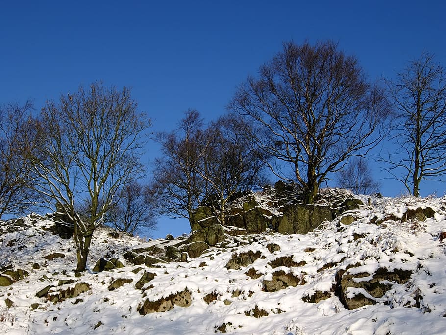 winter, snow, rocks, trees, hill, moor, warren hills, blue HD wallpaper