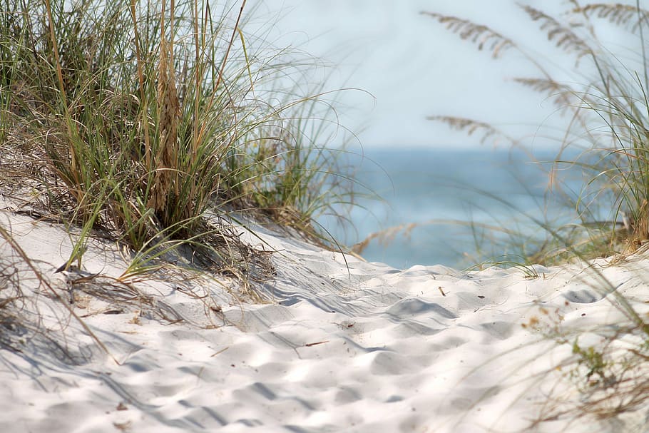 beach, sand, sandy, summer, summer sea, nature, coastal, bathing beach HD wallpaper