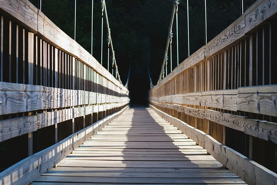 white wooden bridge, brown, pathway, forest, trees, plants HD wallpaper