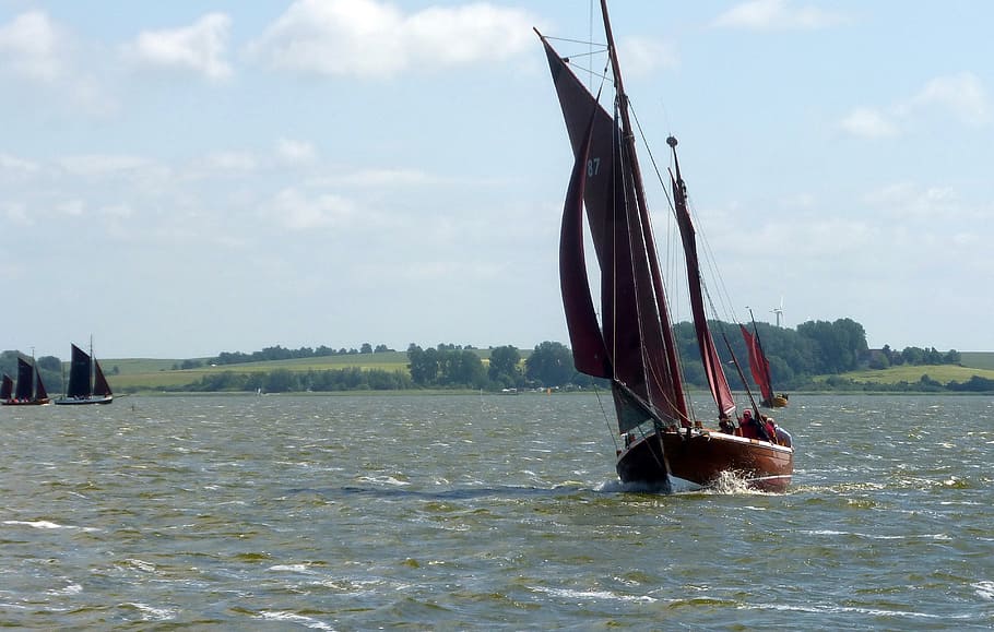 Barther Bodden, Fishing, zeesboot, water, waterfront, day, outdoors HD wallpaper