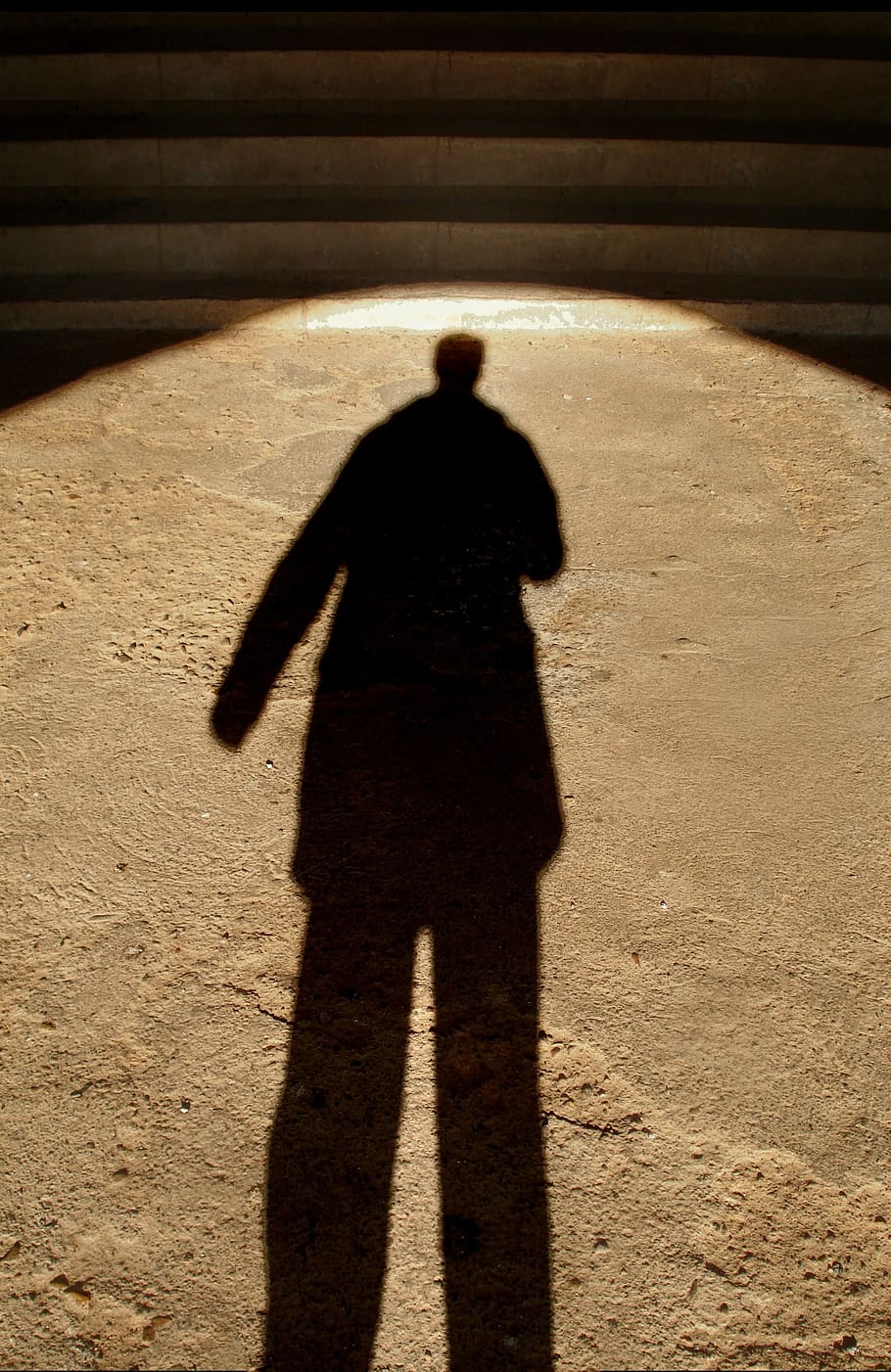 light and shade, shadow, sunlight, focus on shadow, nature HD wallpaper