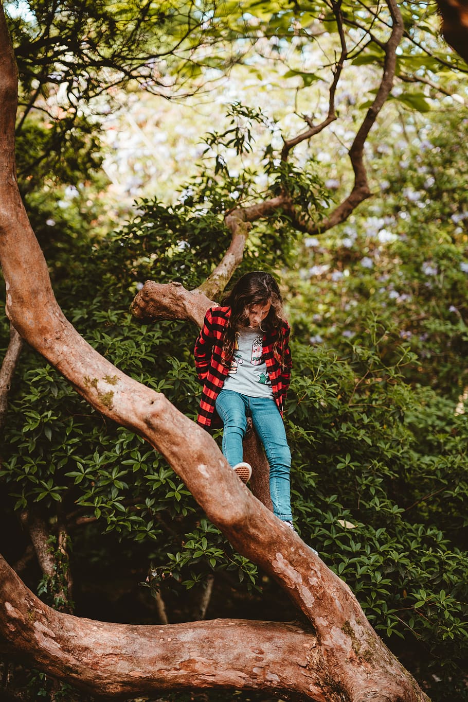 girl sitting on tree branch during daytime, woman sitting on tree HD wallpaper