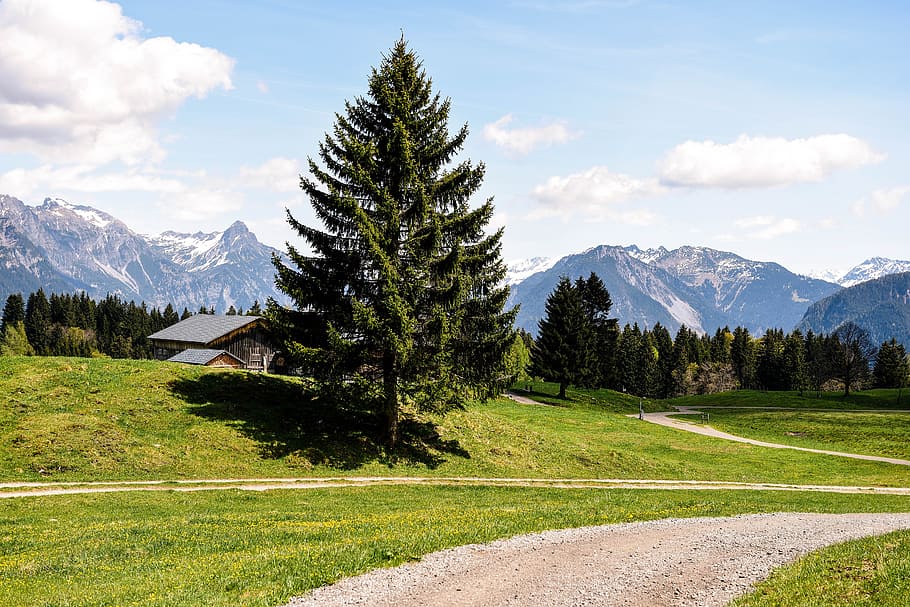 landscape, nature, trail, tree, mountains, sky, european Alps HD wallpaper