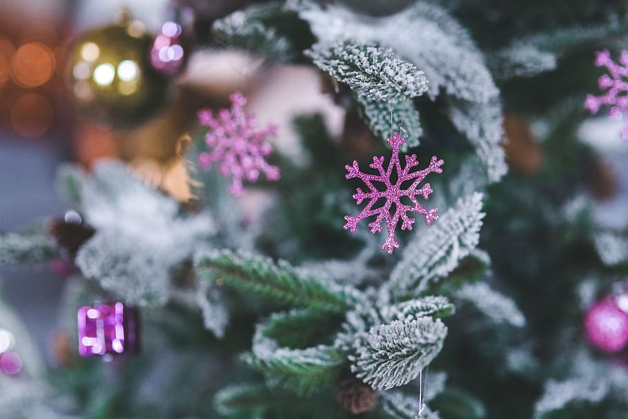 selective focus photography of purple snowflake in green spruce tree HD wallpaper