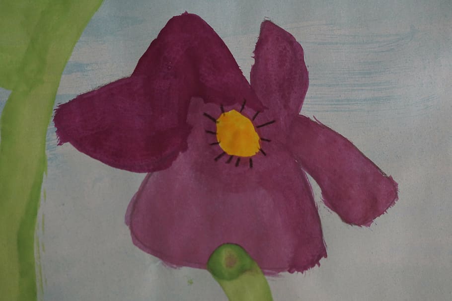 pansy, painted, school, elementary school, children, students HD wallpaper