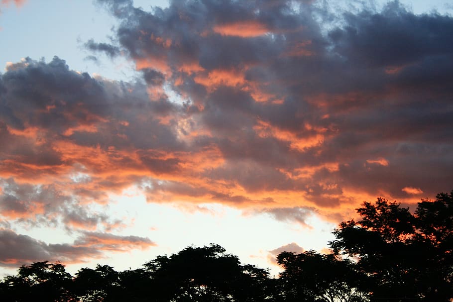 sunset, clouds, soft orange, silhouette, contrast, glowing HD wallpaper