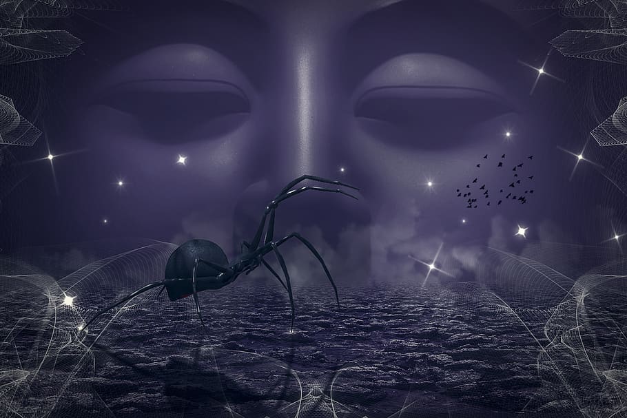manipulation, budda, spider, web, desert, stars, birds, illuminated HD wallpaper
