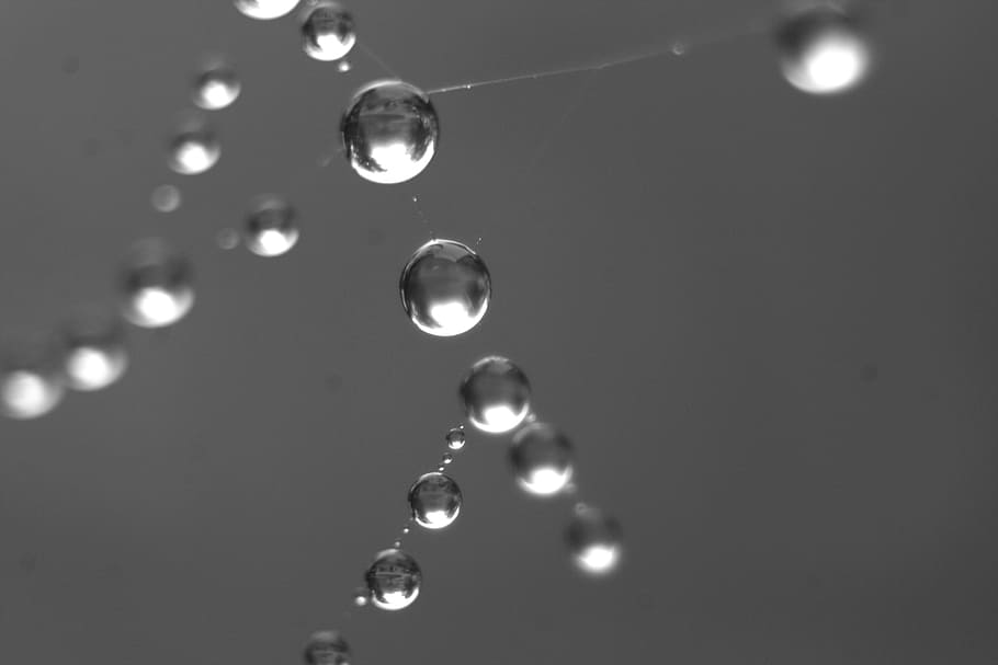 Dew, Drip, Close, morgentau, drop, purity, bubble, backgrounds HD wallpaper