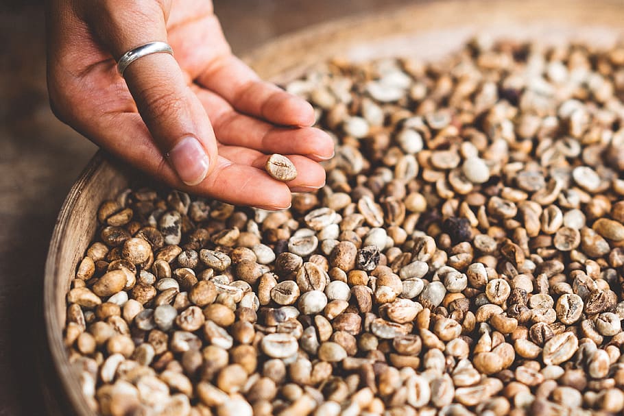 coffee, bean, hand, ring, human hand, human body part, food and drink HD wallpaper