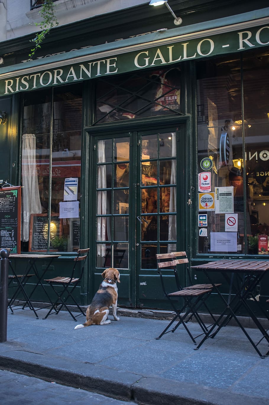 Ristorante Gallo establishment, French Restaurant, Brewery, Paris, HD wallpaper