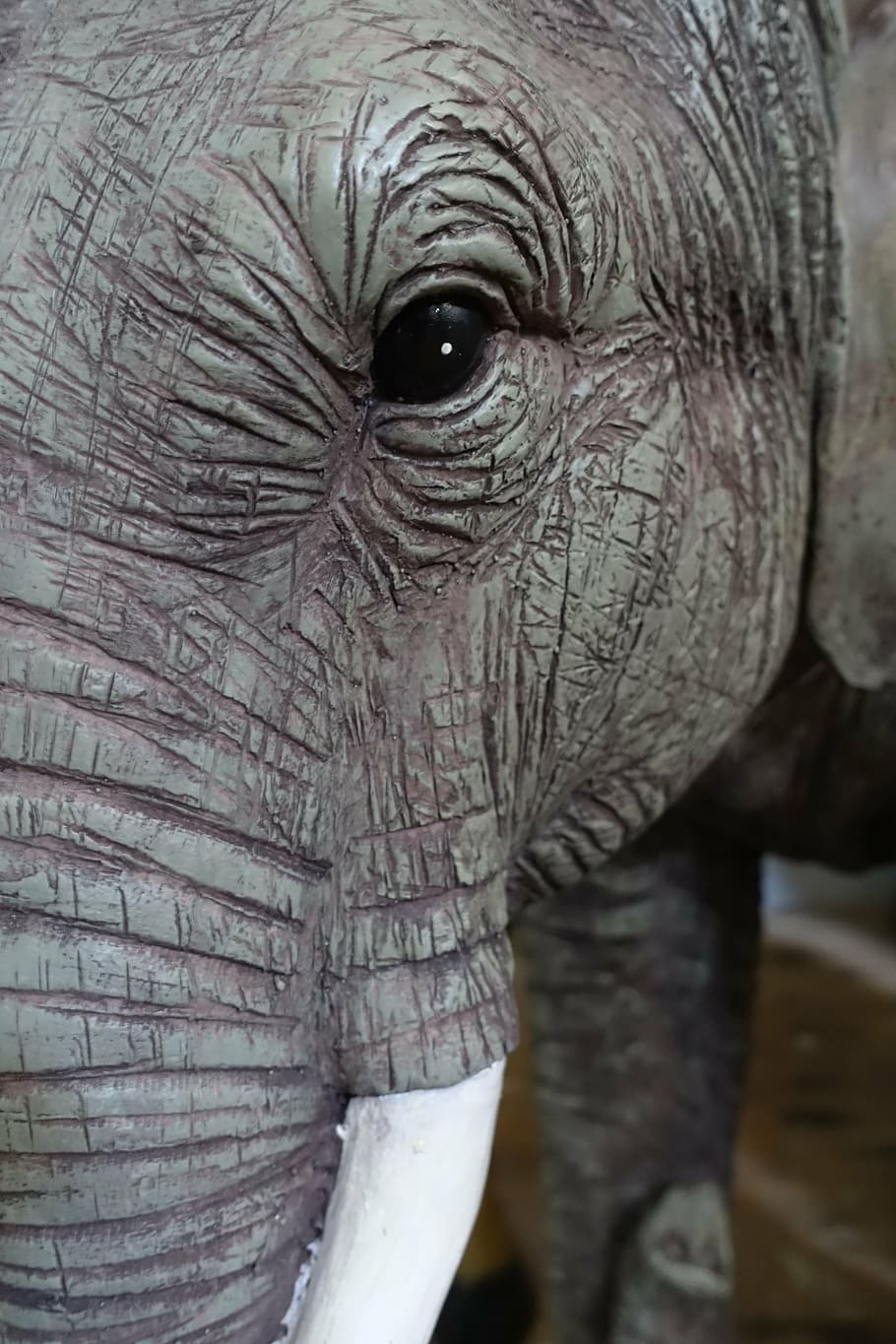 elephant, eye, head, face, wrinkled, wildlife, animal, skin HD wallpaper
