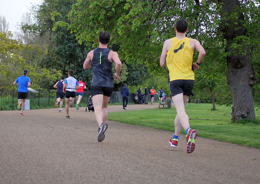 Motion, Outdoor, park, running, outdoors, jogging, sport, exercising HD wallpaper