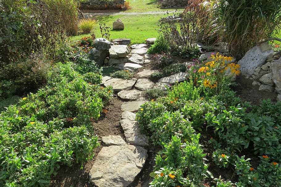 grey concrete pathway beside plants and grasses, garden, country HD wallpaper
