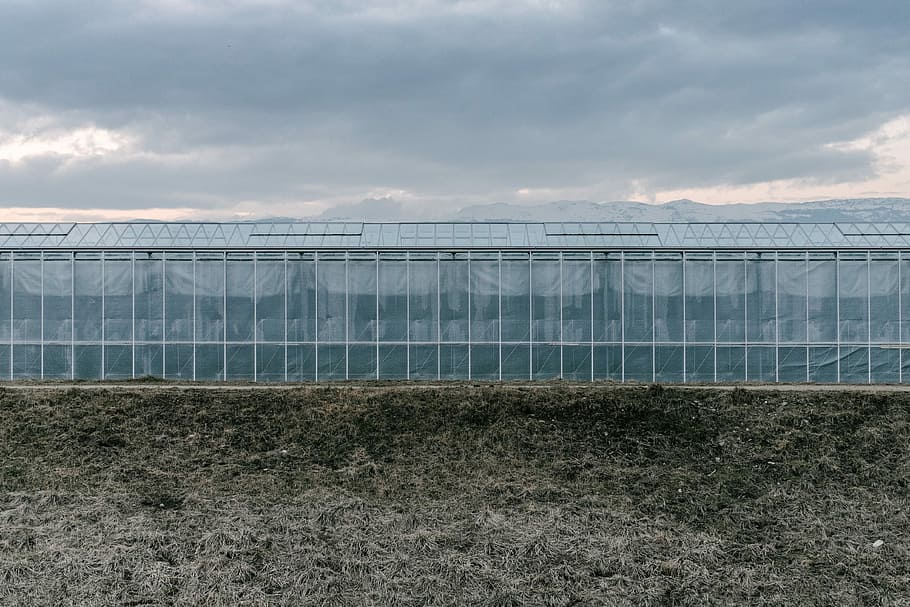 grow tent, agriculture, nature, outdoors, farm, no People, sky HD wallpaper