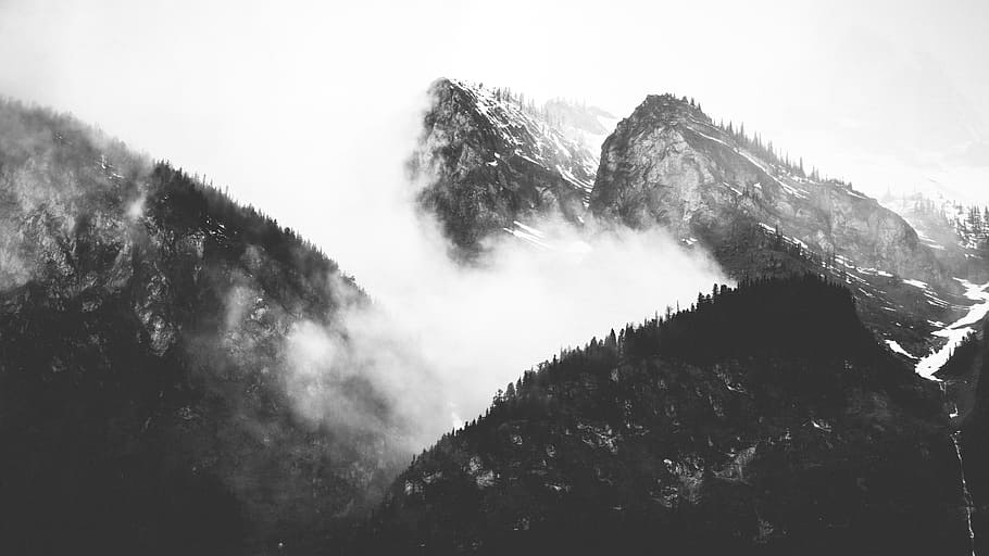grayscale photo of mountain covered with trees and clouds, grayscale photo of green forest on mountain HD wallpaper