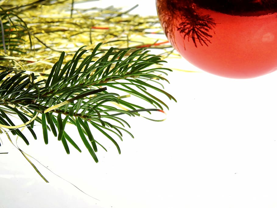 christmas, deco, decoration, advent, christmas decoration, christmas tree HD wallpaper