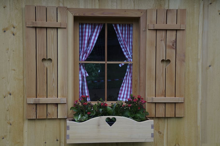 red petaled flowers on planter in front of opened window, home HD wallpaper