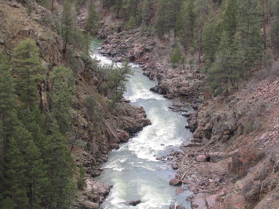 river, riverbed, landscape, rocks, water, nature, trees, stream HD wallpaper