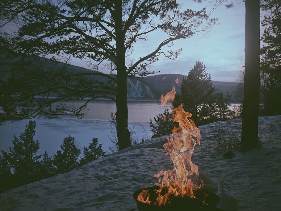 bonfire near lake photo, tree, water, one, river, recreation HD wallpaper