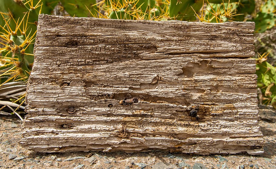 background, wood, structure, wood structure, grain, backgrounds HD wallpaper