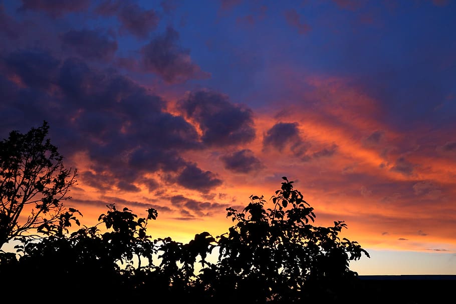 sunset, panoramic, nature, twilight, evening, cloud, sky, tree HD wallpaper