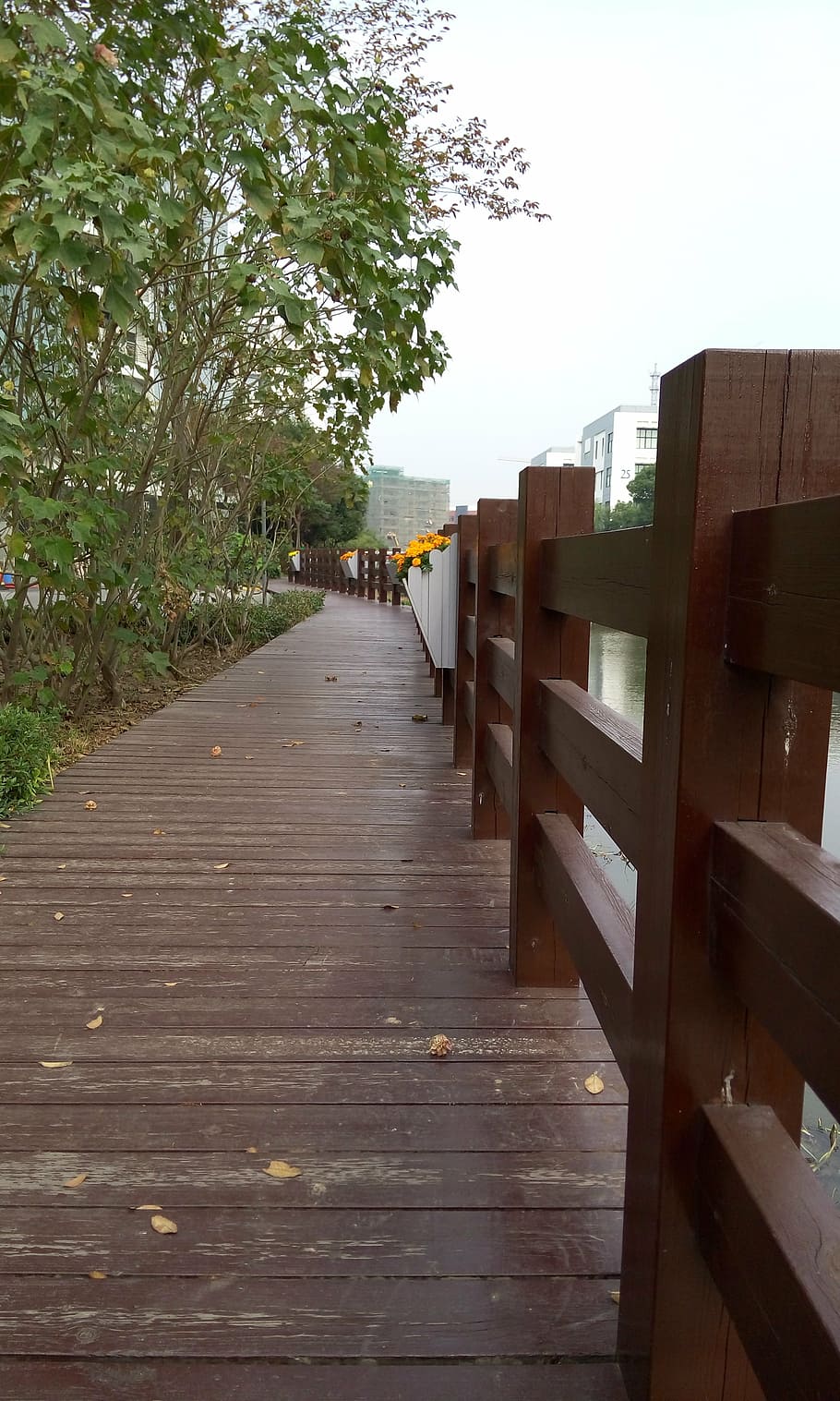 spring hall, bridge, artistic conception, wood - material, direction HD wallpaper