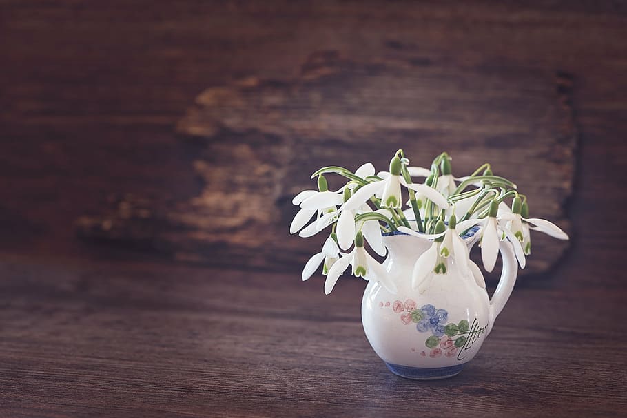 white petaled flowers in white ceramic vase on brown surface HD wallpaper