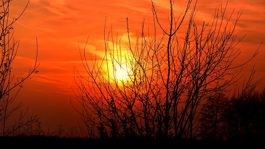 sun, evening, sunset, afterglow, sky, nature, orange Color HD wallpaper