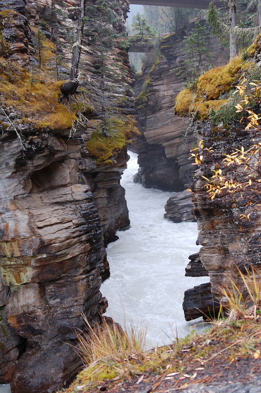 gorge, canyon, stream, river, landscape, wilderness, scenery HD wallpaper
