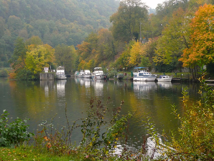 lahn, river, boats, reflection, autumn, tree, plant, water HD wallpaper