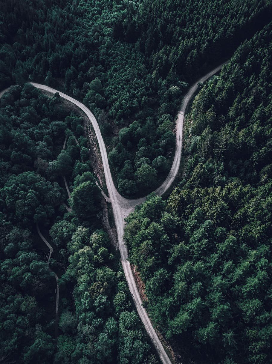 top view photography of forest, aerial view photography of mountain pass during daytime