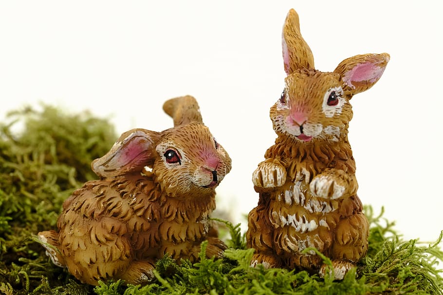 easter, easter bunny, easter celebration, hare, osterkarte HD wallpaper