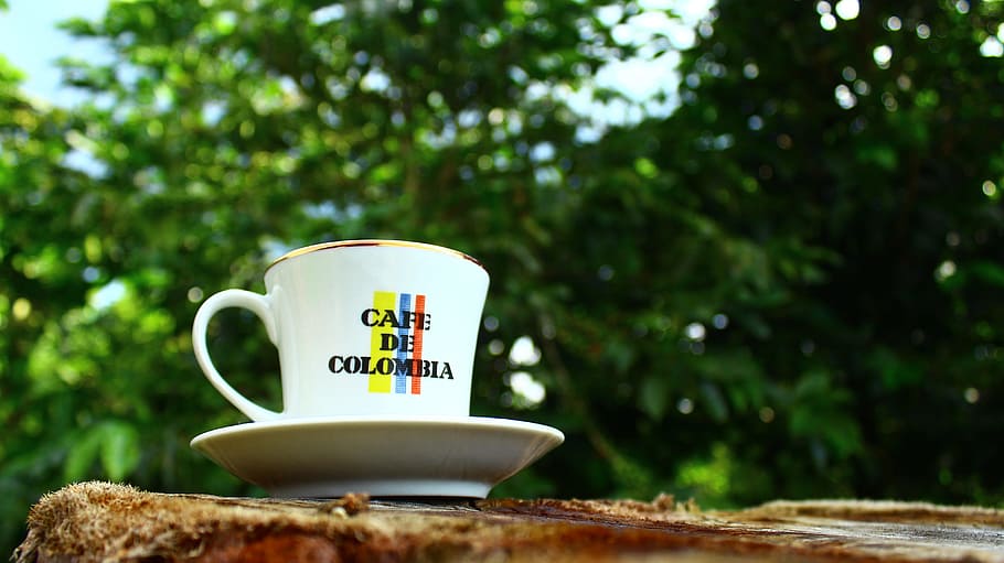 Kettle, Cup, Porcelain, Coffee, Rural, text, communication HD wallpaper