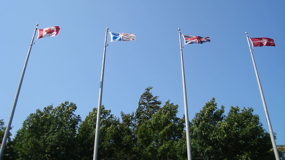 flags, flagpoles, blown, wind, sky, patriotism, nature, tree HD wallpaper