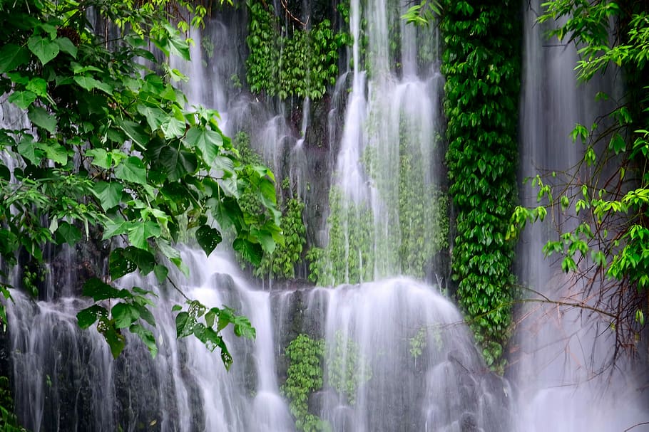 waterfall surrounded by green plants taken at daytime, long exposure photography of waterfalls HD wallpaper