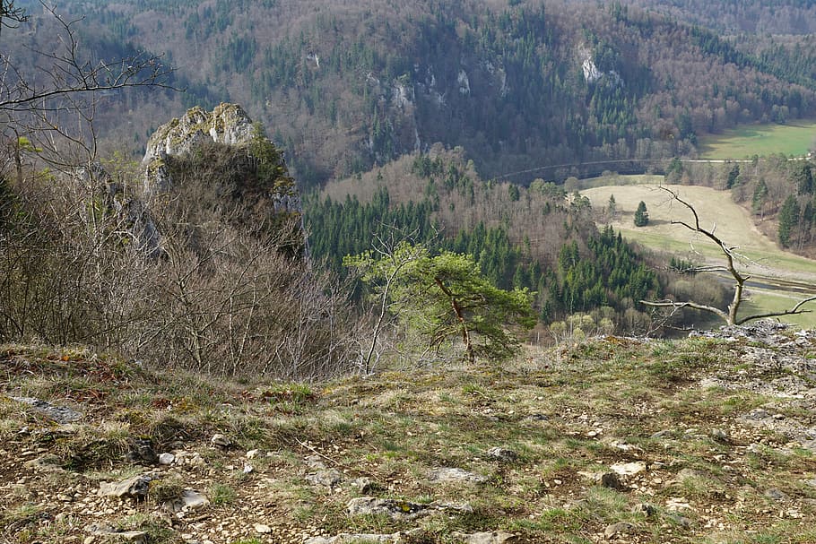Danube, Valley, Forest, River, danube valley, rock, nature HD wallpaper