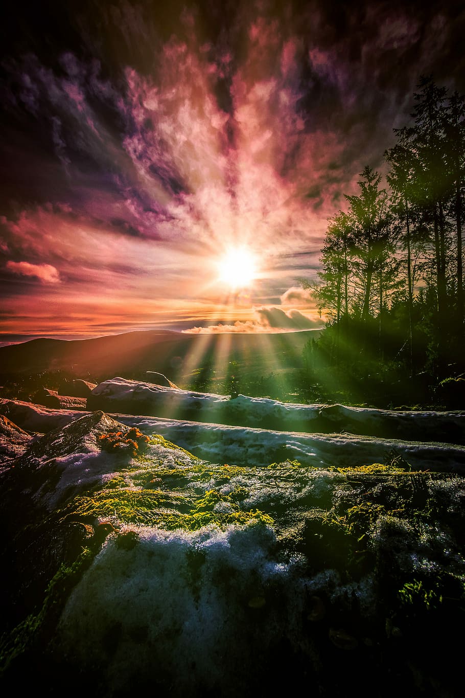 Epic Irish Sunrise, landscape photography of green grass field and trees during golden hour HD wallpaper
