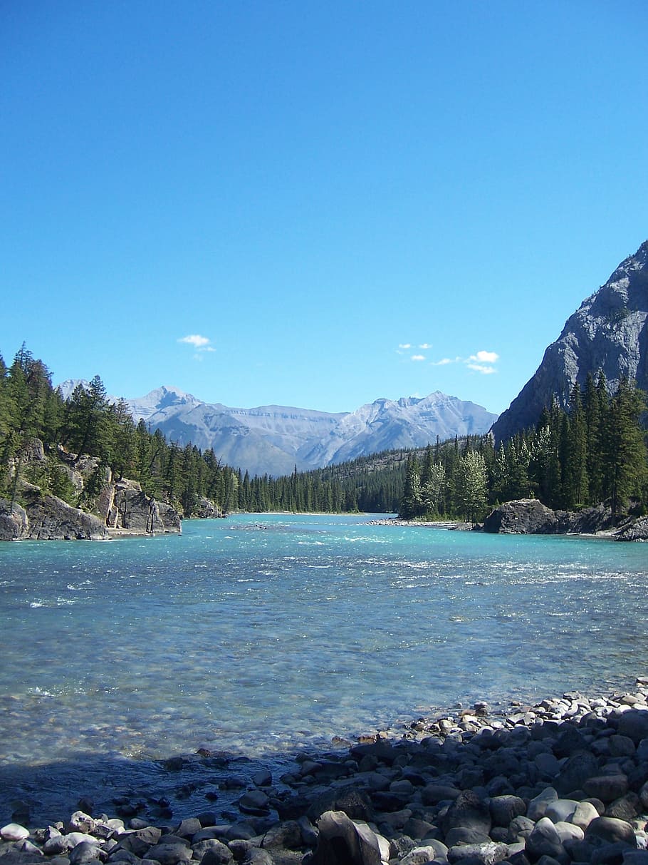 river, rocks, trees, canada, mountain, holiday, blue, blue sky HD wallpaper