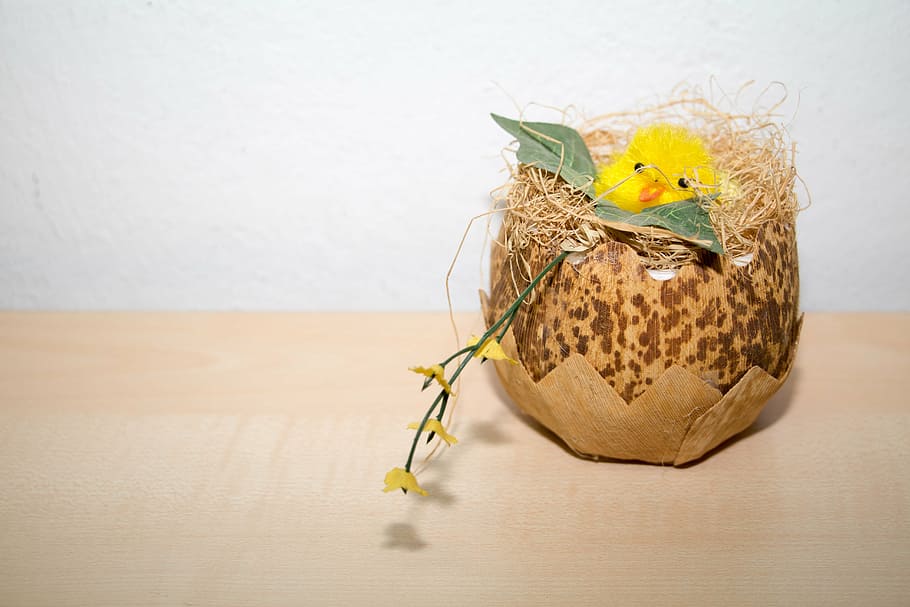easter, chicks, chicken, egg, colorful, spring, nest, easter egg HD wallpaper