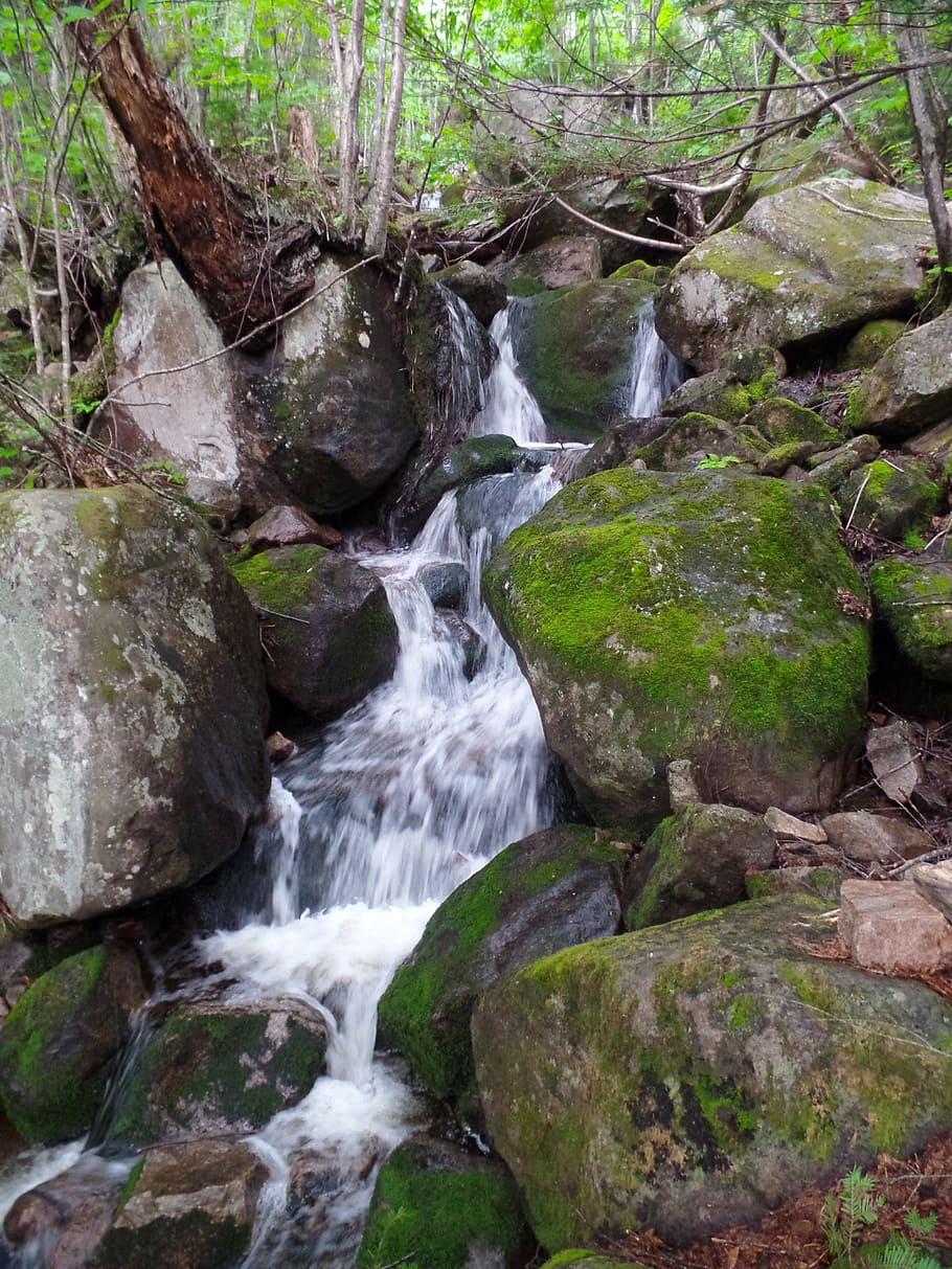 fall, nature, cascade, water, land, beauty in nature, rock HD wallpaper